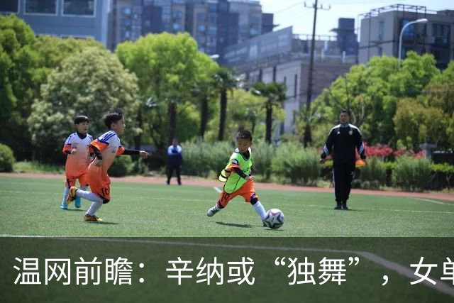 温网前瞻：辛纳或“独舞”，女单悬念大